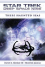 Star Trek Deep Space Nine: These Haunted Seas: Mission Gamma Omnibus