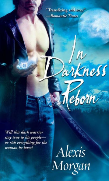 In Darkness Reborn (Paladin Series #3)