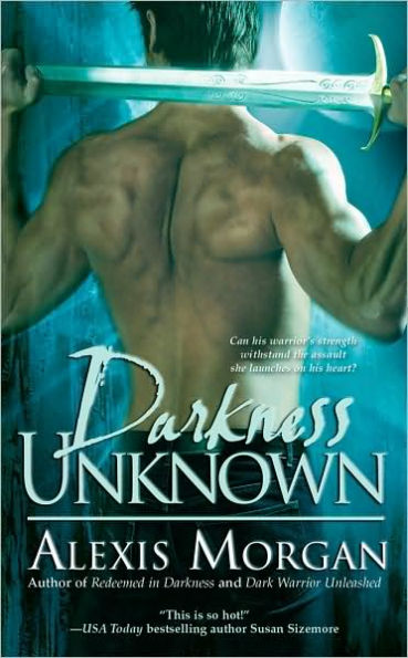 Darkness Unknown (Paladin Series #5)