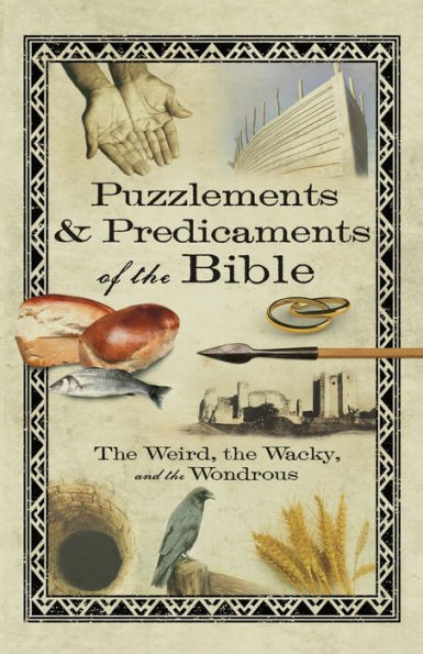 Puzzlements and Predicaments of the Bible: Weird, Wacky, Wondrous