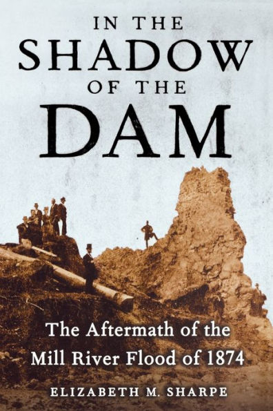 In the Shadow of the Dam: The Aftermath of the Mill River Flood of 1874