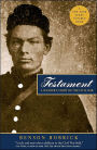 Testament: A Soldier's Story of the Civil War