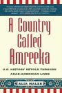 A Country Called Amreeka: U.S. History Retold through Arab-American Lives