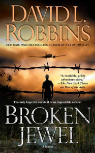 Forum for ebooks download Broken Jewel: A Novel CHM PDF