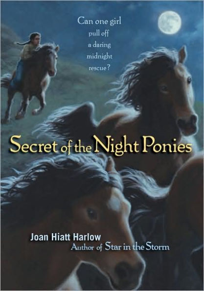 Secret of the Night Ponies