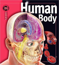 Title: Human Body (Insiders Series), Author: Linda Calabresi