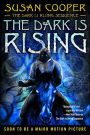 The Dark Is Rising (The Dark Is Rising Sequence Series #2)