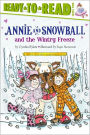 Annie and Snowball and the Wintry Freeze (Annie and Snowball Series #8)