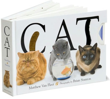 Cat By Matthew Van Fleet Hardcover Barnes Noble