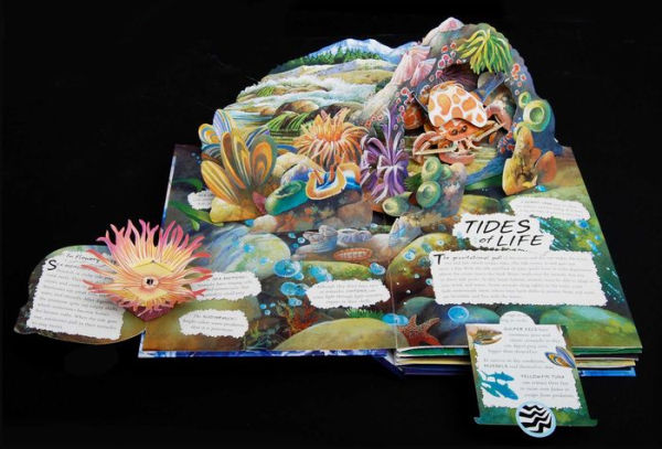 Wild Oceans: A Pop-up Book with Revolutionary Technology