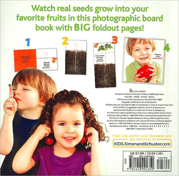 How Does a Seed Grow?: A Book with Foldout Pages