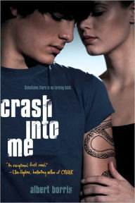 Title: Crash into Me, Author: Albert Borris