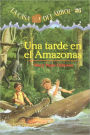 Una tarde en el Amazonas (Afternoon on the Amazon)