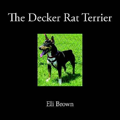 The Decker Rat Terrier