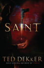 Saint (Paradise Series #2)