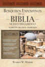 Bosquejos expositivos de la Biblia, Tomo IV: Hechos - Filipenses