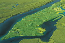 Alternative view 5 of Mannahatta: A Natural History of New York City