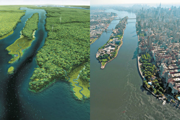 Mannahatta: A Natural History of New York City