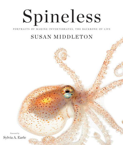 Spineless: Portraits of Marine Invertebrates, the Backbone of Life