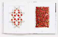 Alternative view 5 of Biophilia: Christopher Marley's Art of Nature