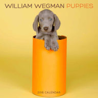 Title: William Wegman Puppies 2016 Wall Calendar, Author: William Wegman