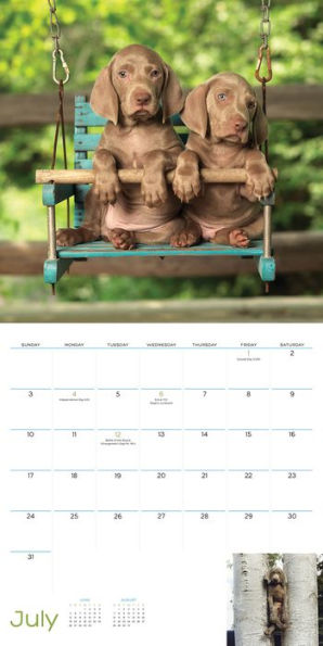 William Wegman Puppies 2016 Wall Calendar