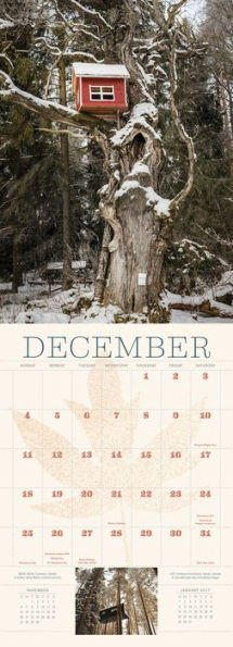 Extraordinary Treehouses 2016 Wall Calendar