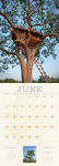 Alternative view 6 of Extraordinary Treehouses 2016 Wall Calendar