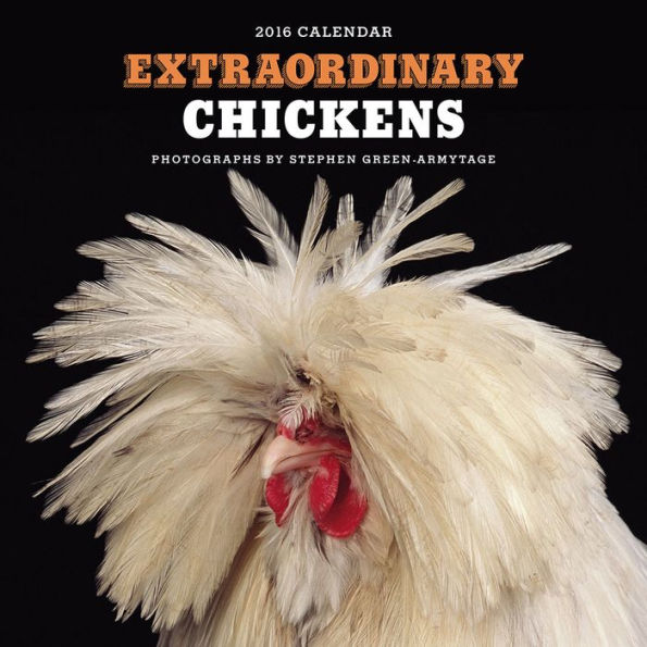 Extraordinary Chickens 2016 Wall Calendar