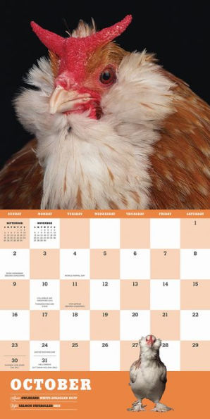 Extraordinary Chickens 2016 Wall Calendar