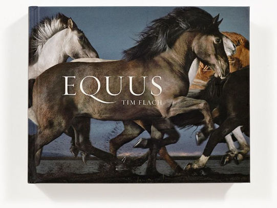 Equus Mini By Tim Flach Hardcover Barnes Amp Noble 174