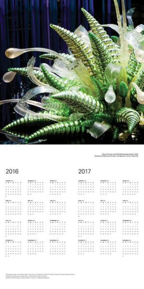 Chihuly 2016 Wall Calendar