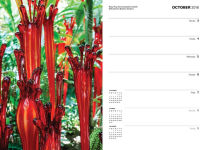 Alternative view 12 of Chihuly 2016 Weekly Planner