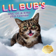 Title: Lil Bub 2016 Wall Calendar, Author: Lil Bub