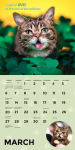 Alternative view 3 of Lil Bub 2016 Wall Calendar