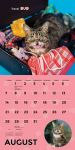 Alternative view 5 of Lil Bub 2016 Wall Calendar