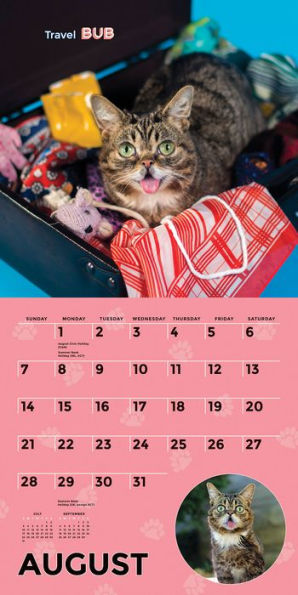 Lil Bub 2016 Wall Calendar