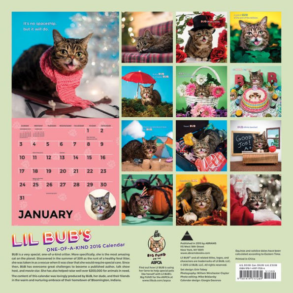 Lil Bub 2016 Wall Calendar