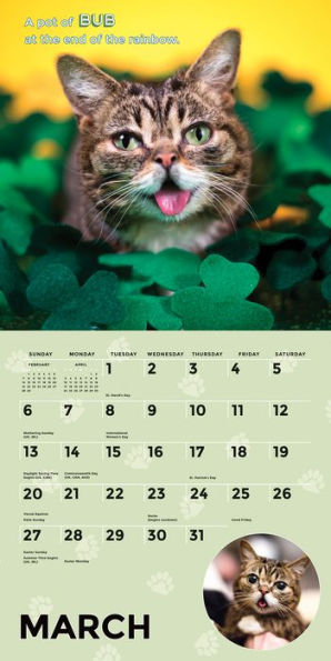 Lil Bub 2016 Wall Calendar