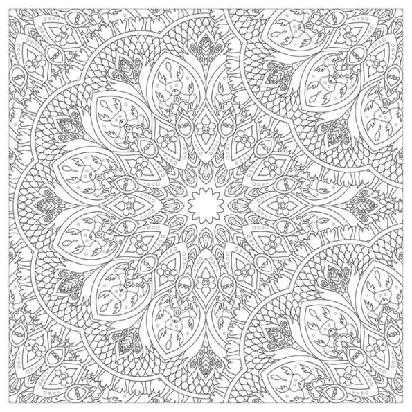 Vive Le Color! India (Adult Coloring Book): Color In; De-stress (72 Tear-out Pages)