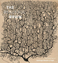Title: The Beautiful Brain: The Drawings of Santiago Ramon y Cajal, Author: Larry W. Swanson