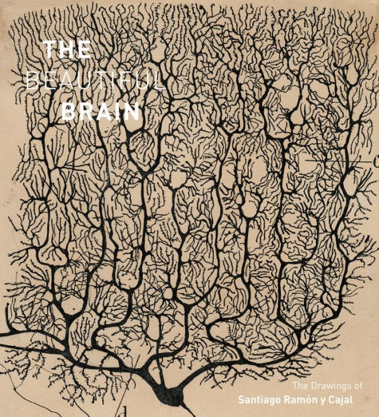 The Beautiful Brain: Drawings of Santiago Ramon y Cajal