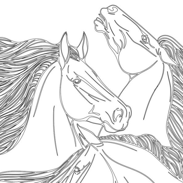 Vive Le Color! Horses (Adult Coloring Book): Color In; De-stress (72 Tear-out Pages)