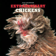 Title: Extraordinary Chickens 2018 Wall Calendar, Author: Stephen Green-Armytage