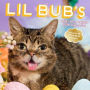 Lil Bub 2018 Wall Calendar