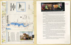 Alternative view 6 of The X-Files: The Official Archives: Cryptids, Biological Anomalies, and Parapsychic Phenomena