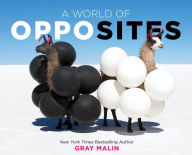 Amazon audible book downloads A World of Opposites