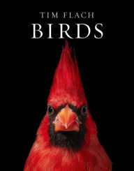 Title: Birds: Photographs, Author: Tim Flach