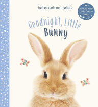 Title: Goodnight, Little Bunny: A Board Book, Author: Amanda Wood