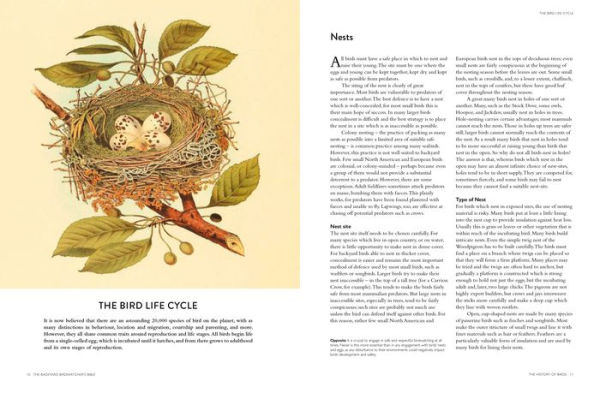 The Backyard Birdwatcher's Bible: Birds, Behaviors, Habitats, Identification, Art & Other Home Crafts